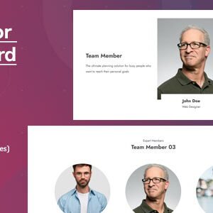 Elementor Team Card
